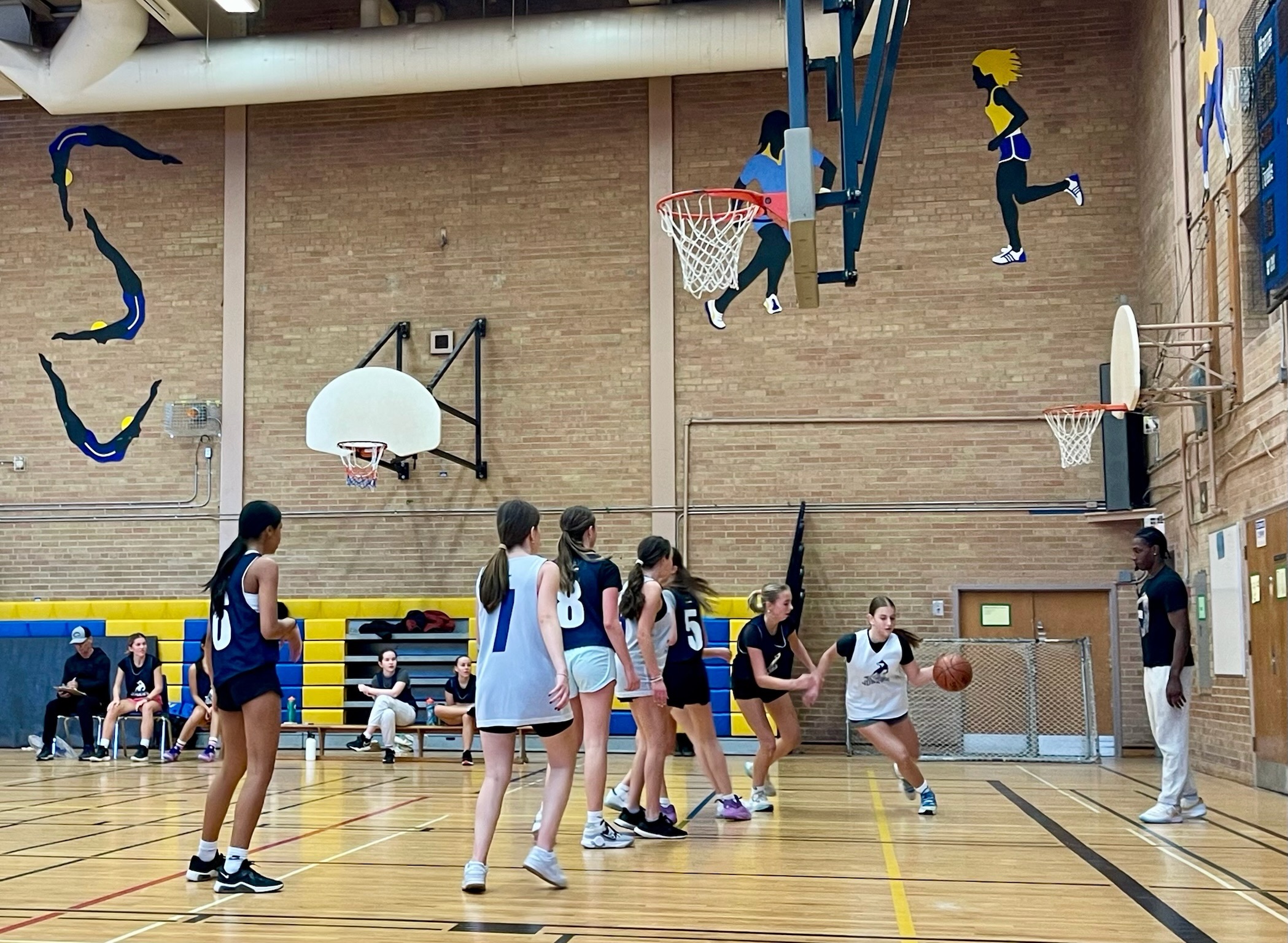 Girls House League